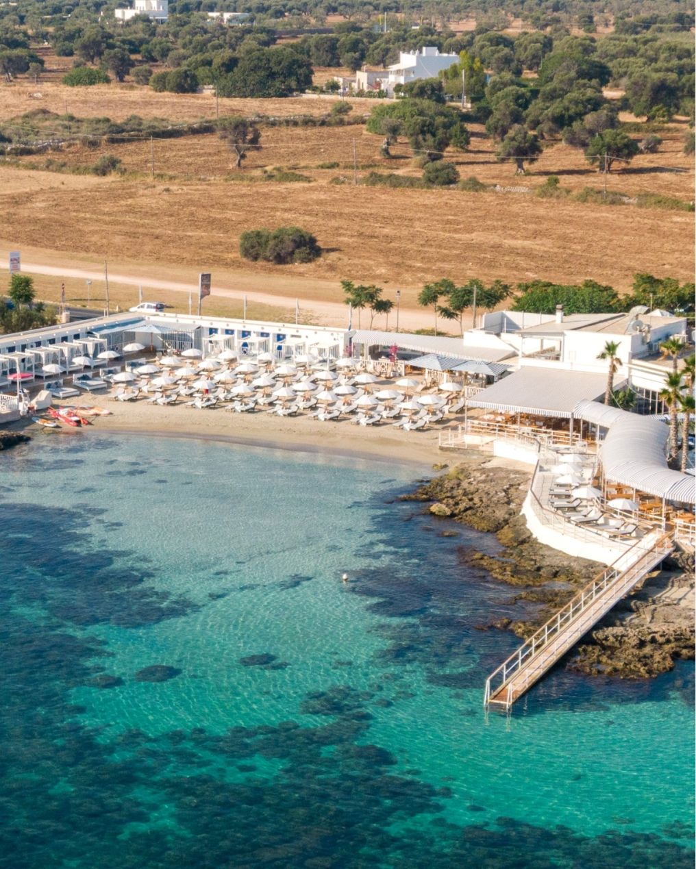 Masseria Torre Coccaro Venue photo