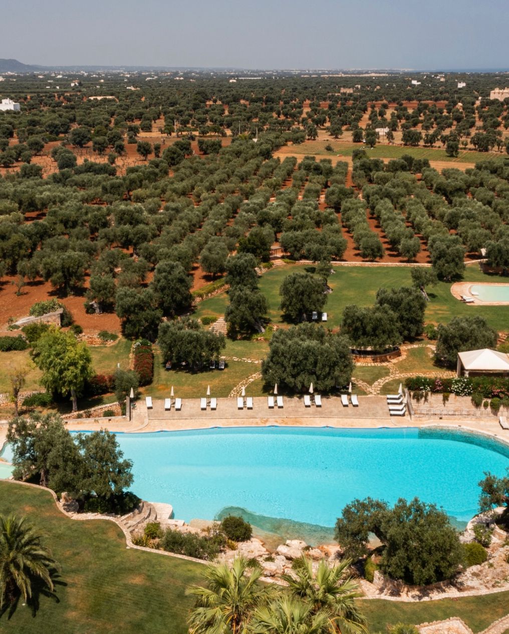 Masseria San Domenico Venue photo