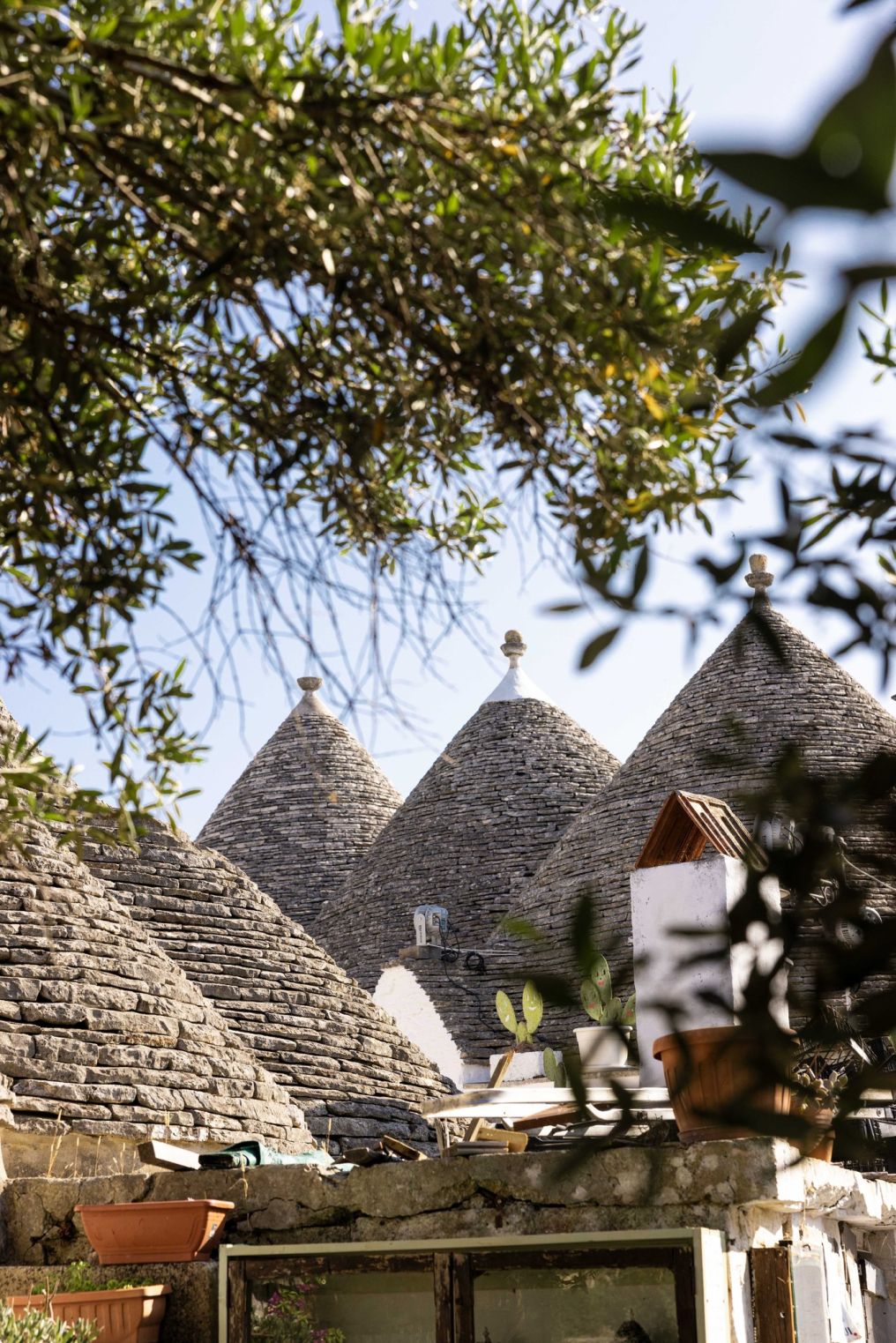 Masseria Torre Maizza Venue photo