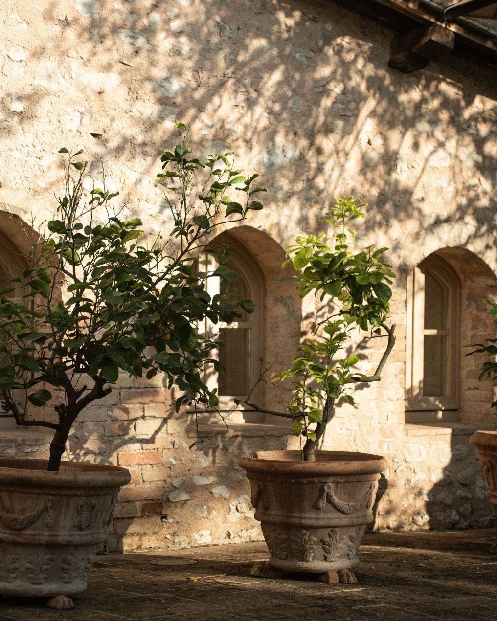 Villa della Genga Farm Resort