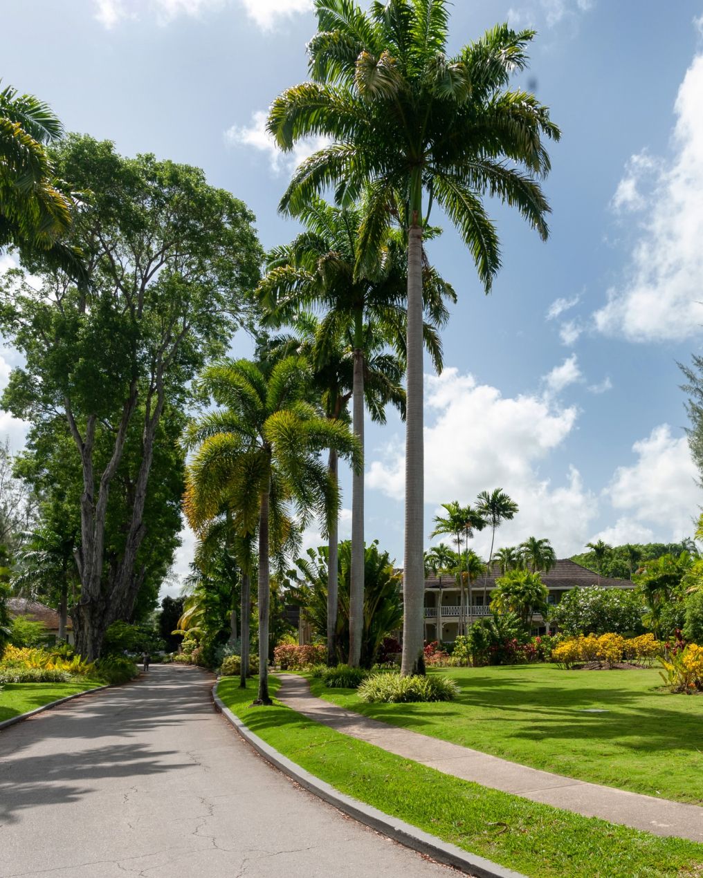 Coral Reef Club Barbados Venue photo
