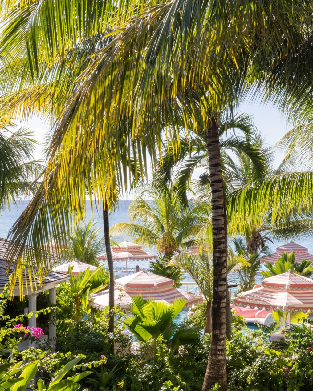 Cobblers Cove Hotel Venue photo