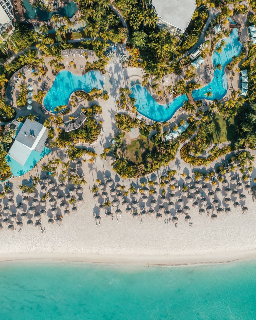 Hilton Aruba Caribbean Resort & The Westerly