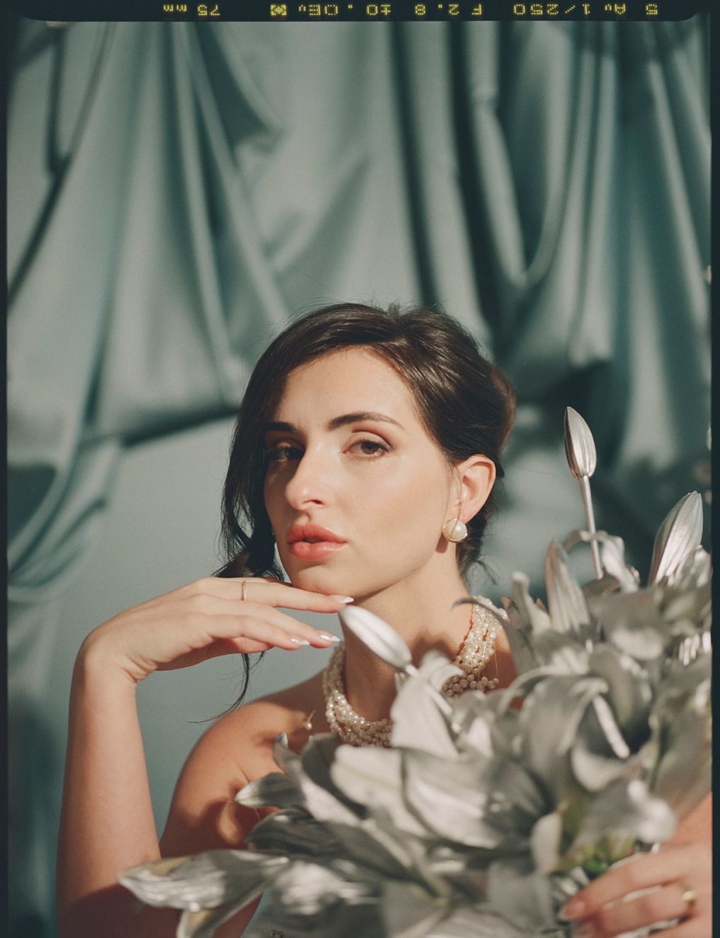 Evergreen Beauty