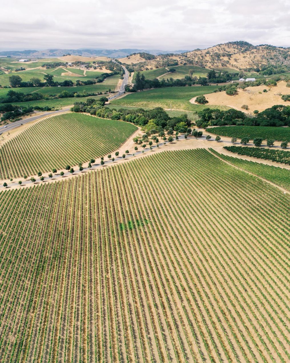 Carneros Resort and Spa Venue photo