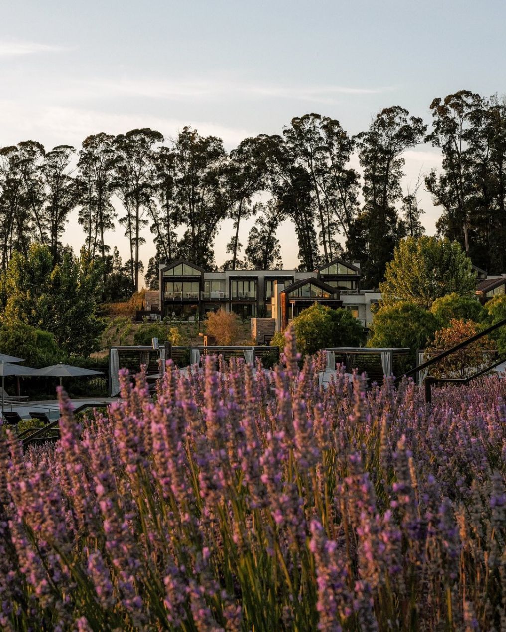 Stanly Ranch, Auberge Collection Venue photo