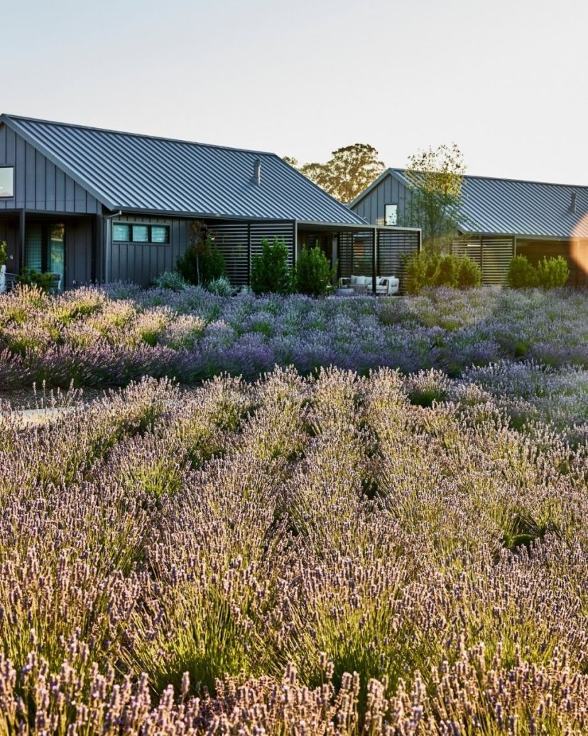 Stanly Ranch, Auberge Collection Venues