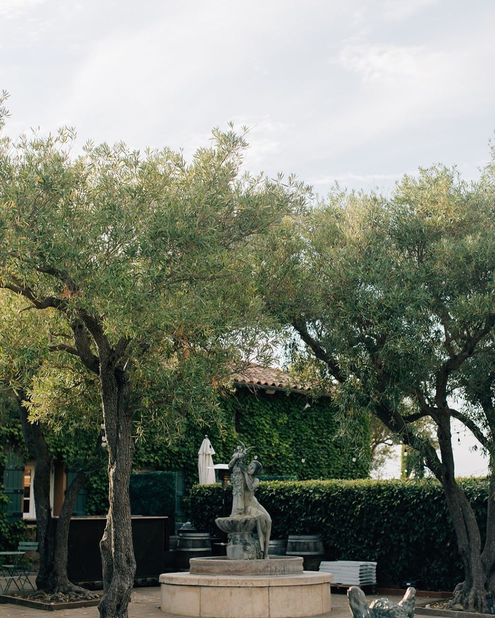 Viansa Winery Venue photo