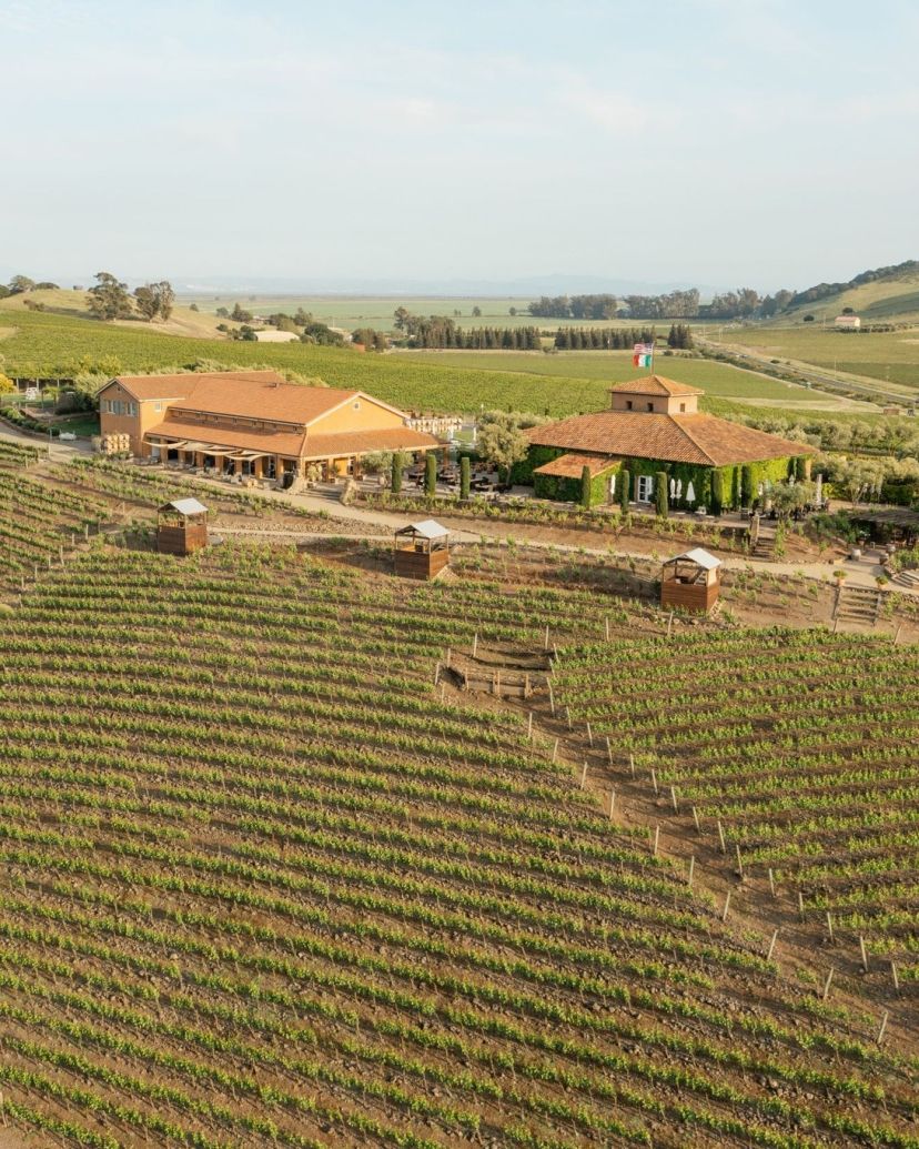 Viansa Winery Venues