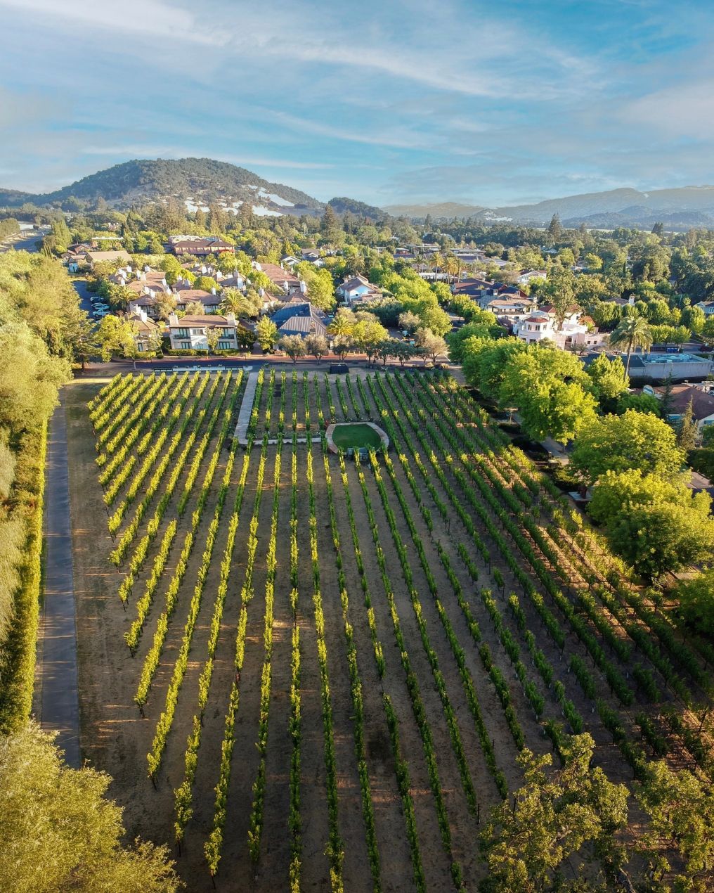 Estate Yountville Venue photo