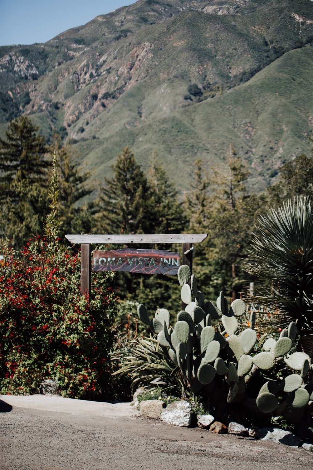 Loma Vista Inn & Gardens Venue photo