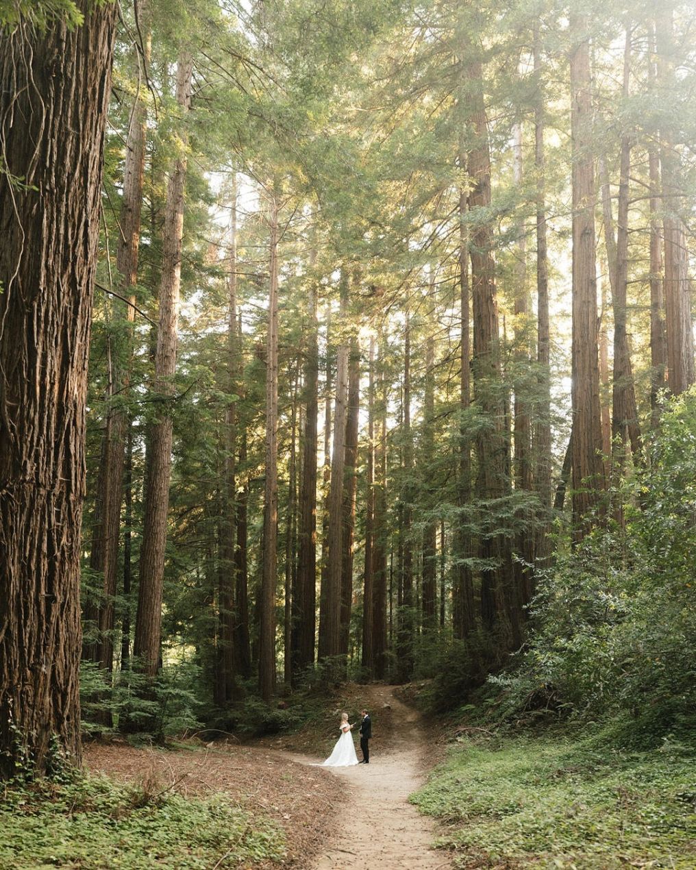 Glen Oaks Big Sur Venue photo