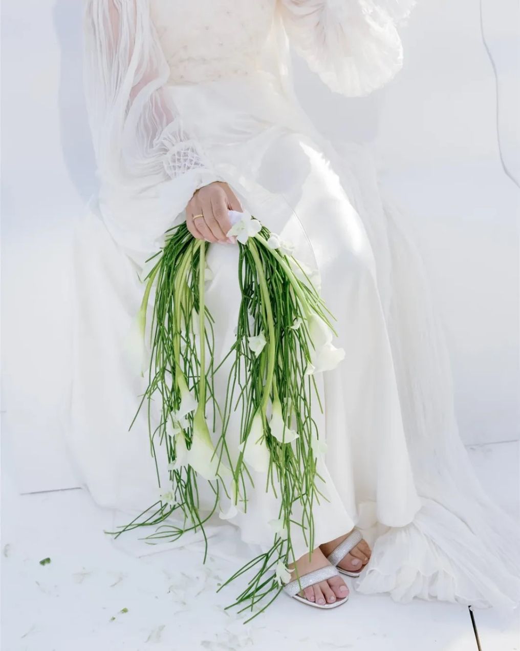 Paloma Cruz WP Planner photo