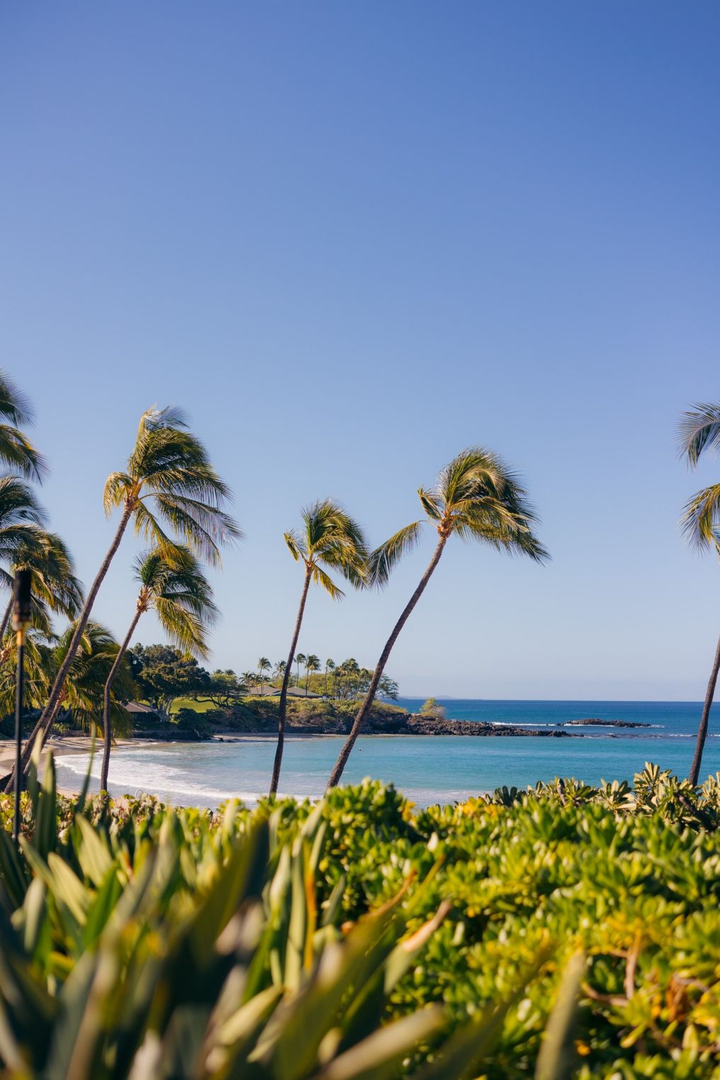 Mauna Kea Beach Hotel Venue photo