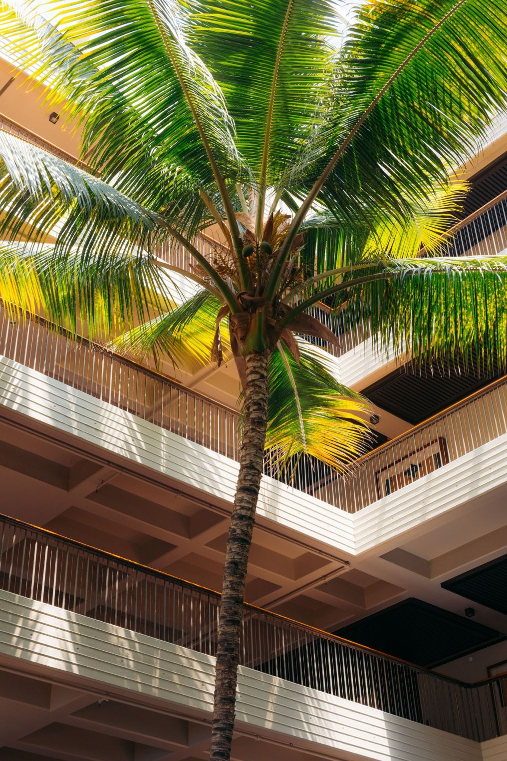 Mauna Kea Beach Hotel