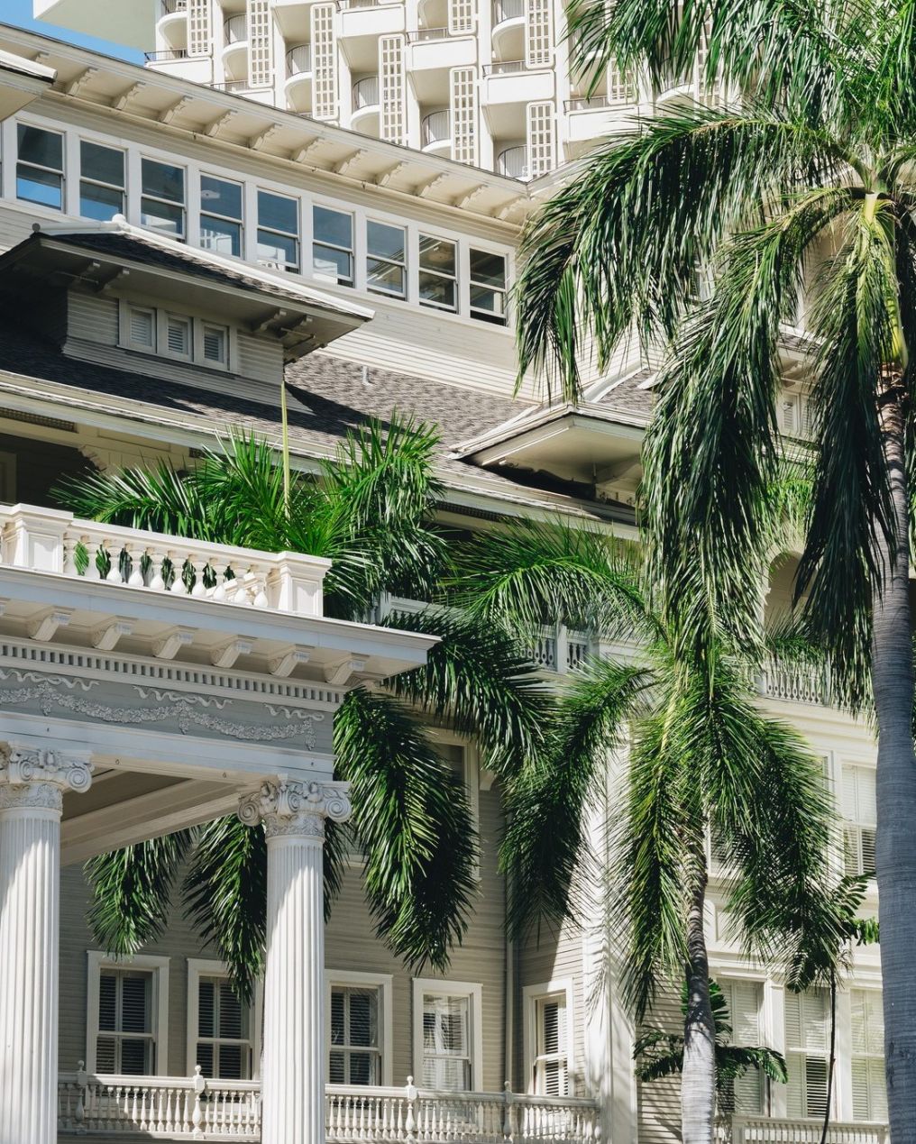 Moana Surfrider