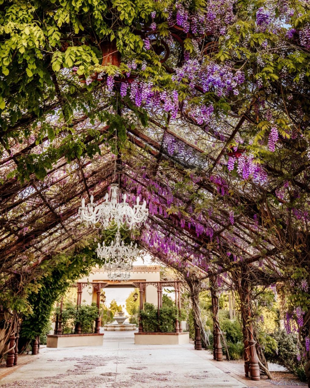 Hotel Albuquerque Venue photo