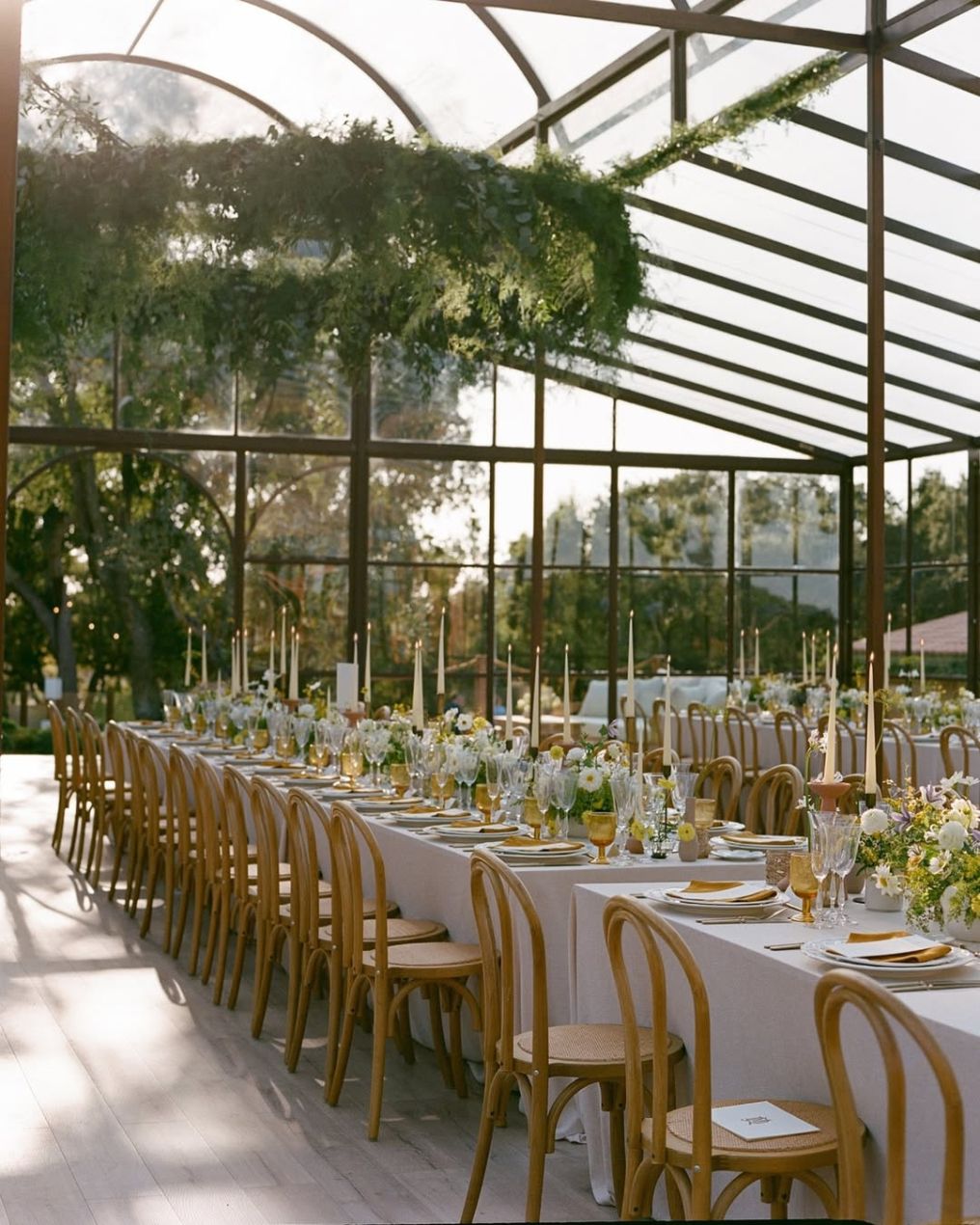 Liz Linkleter Events Planner photo