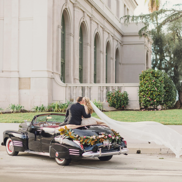 Sun & Sparrow Photographer