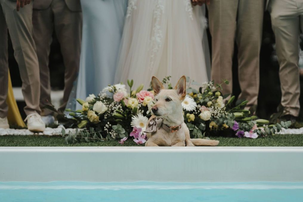 Villa Sofia Venue photo