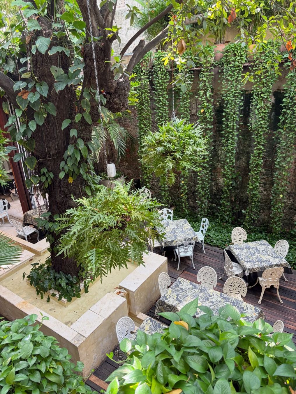 Hotel CASA LOLA deluxe gallery Venue photo