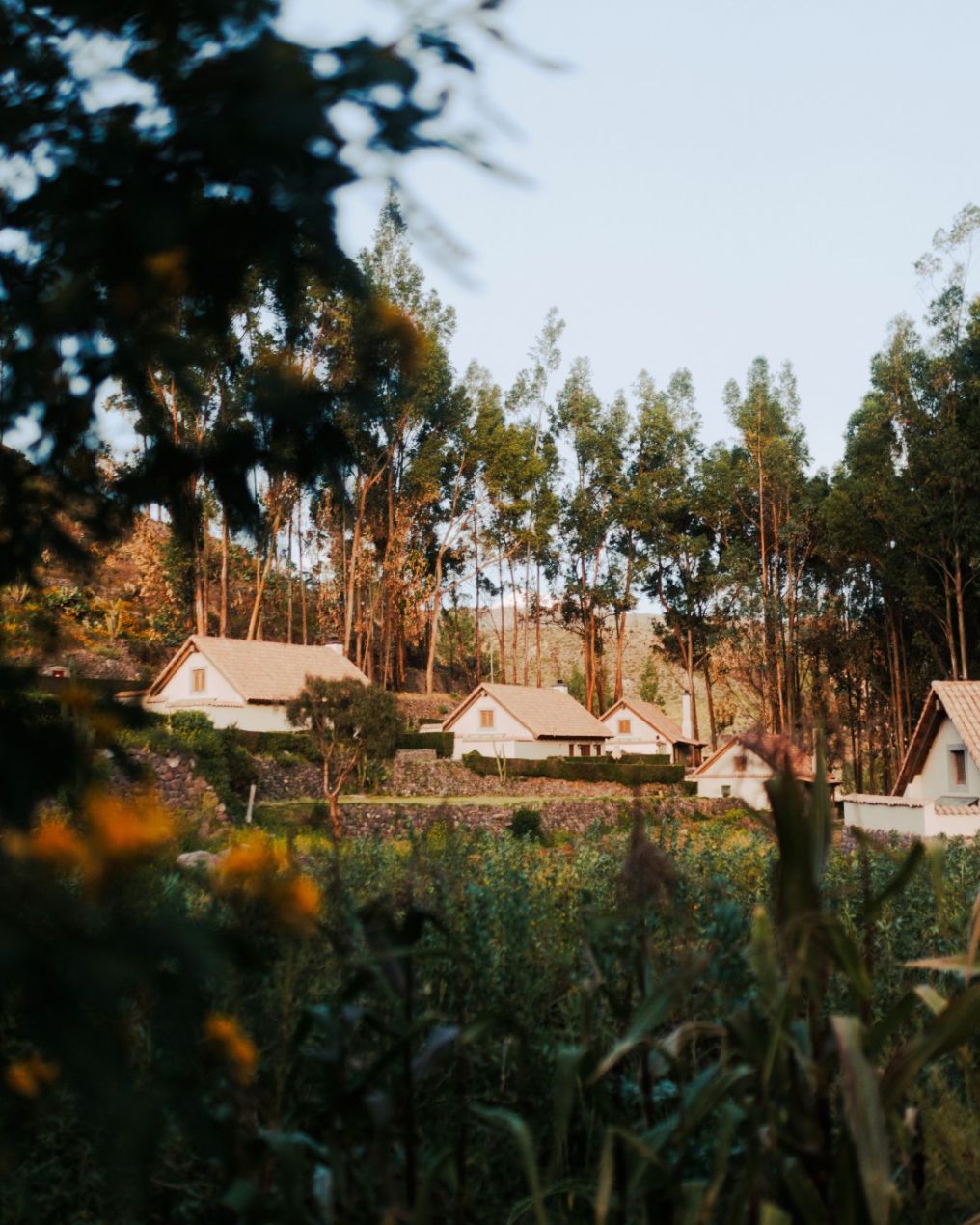 Las Casitas, A Belmond Hotel Venue photo