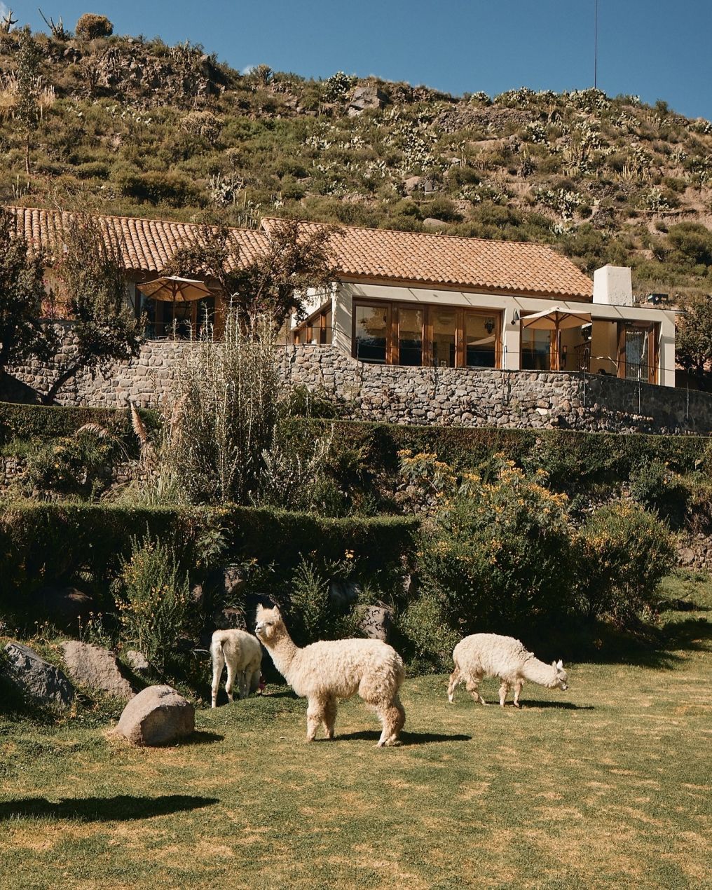 Las Casitas, A Belmond Hotel Venue photo