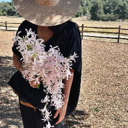 Siren Floral Co.