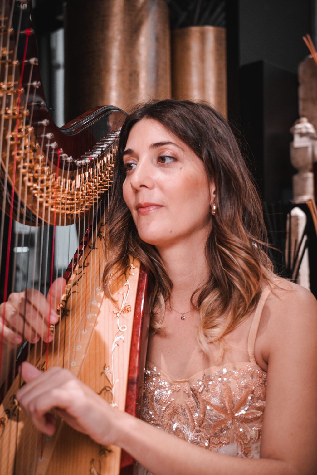 Ambra Canevari harp Music Band photo