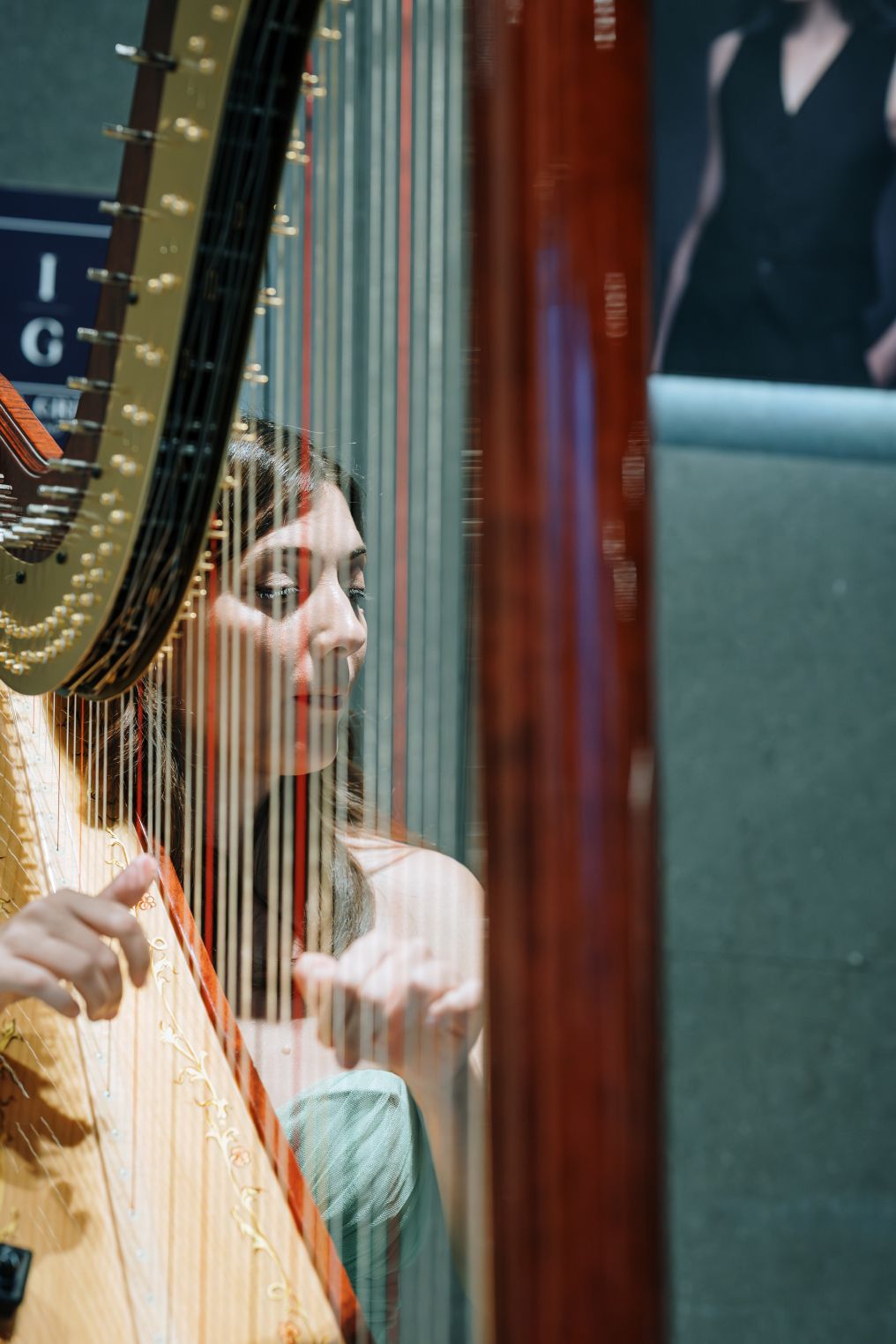 Ambra Canevari harp Music Band photo