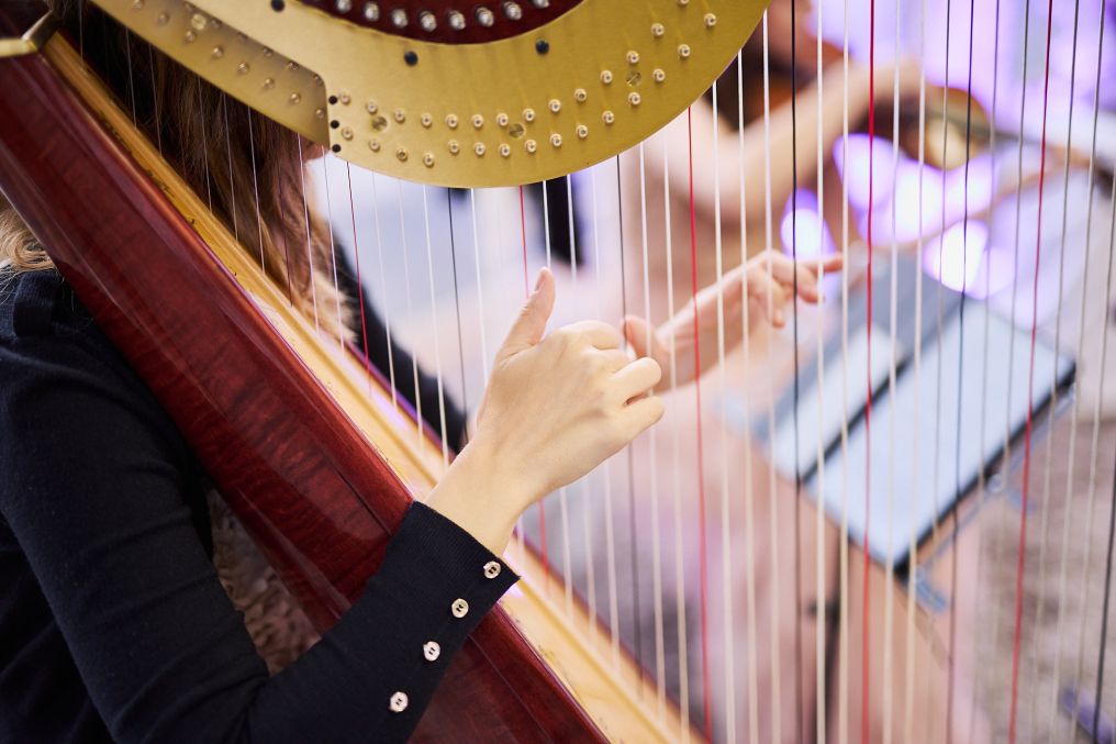 Ambra Canevari harp Music Band photo