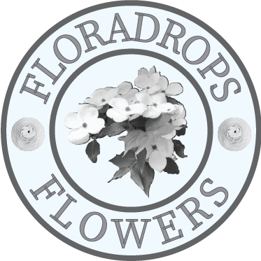 Floradrops Florist