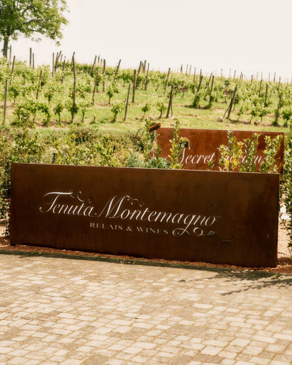 Tenuta Montemagno Relais & Wines