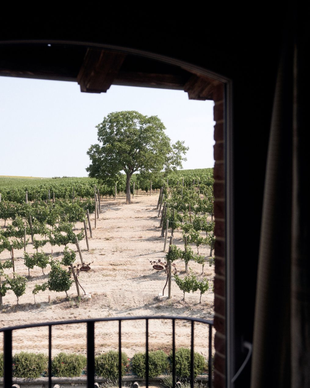 Tenuta Montemagno Relais & Wines Venue photo