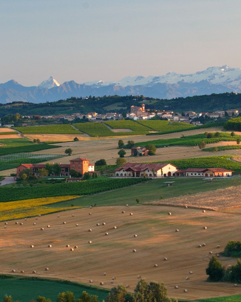 Tenuta Montemagno Relais & Wines Venues