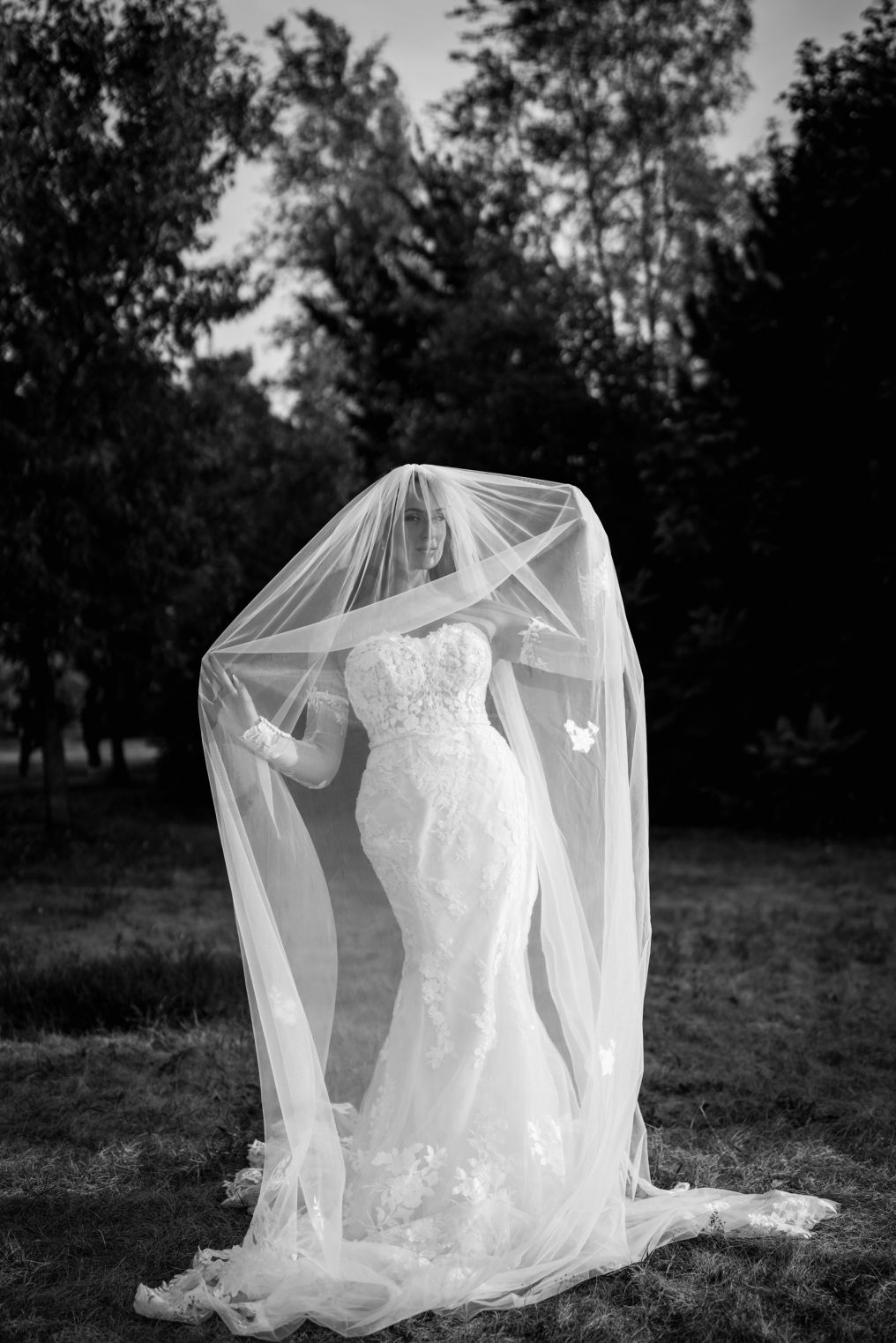 Studio A Plus (Photo&Video) Photographer photo