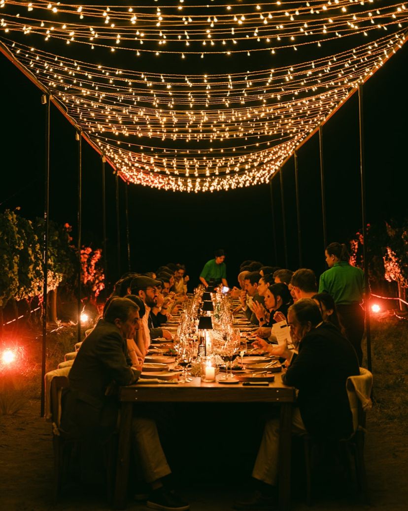 Festivando Eventos Planner