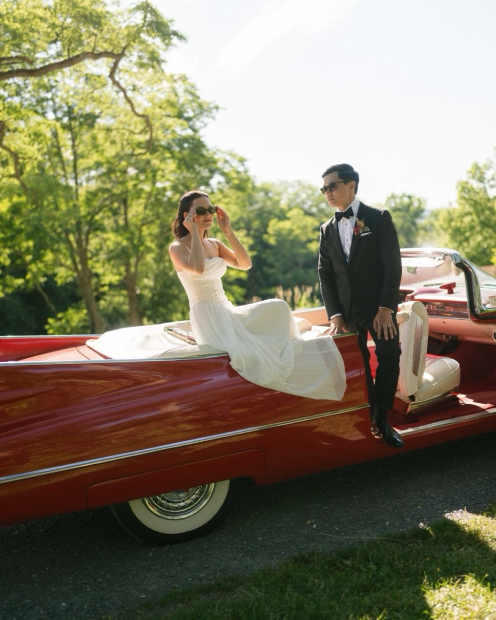 Trenholm Photographer photo