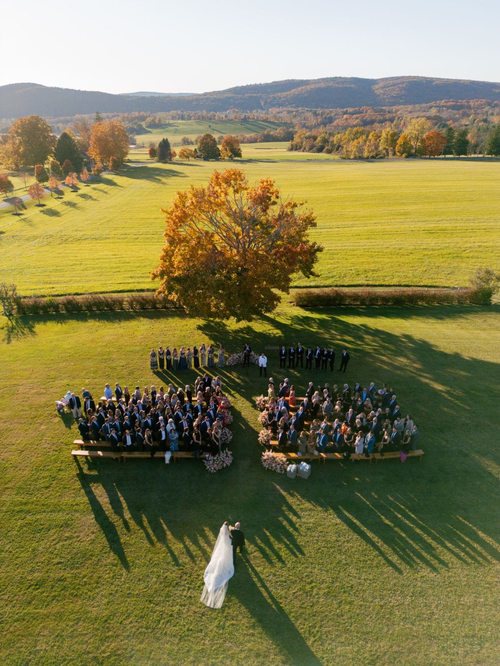 Trenholm Photographer photo