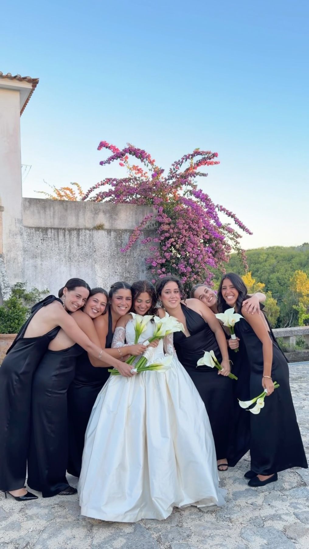 Your Wedding Shadow
