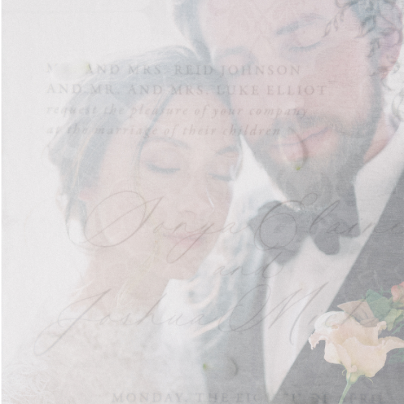 Amanda Lane Photographer