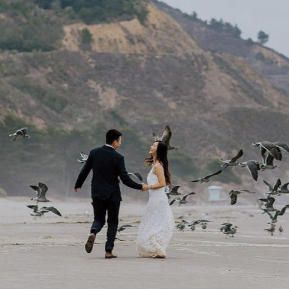 Jim Lee Vision Photographer