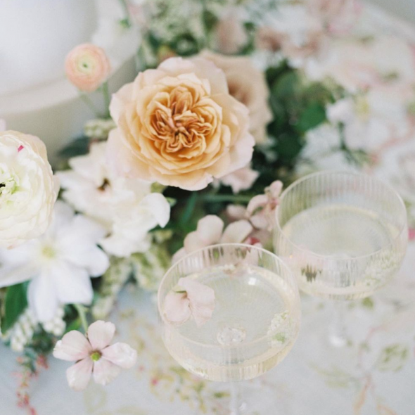 Jess Palatucci Photographer