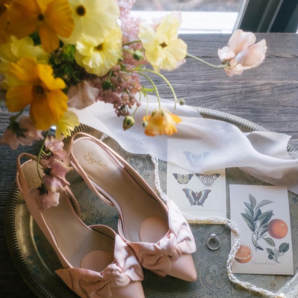 Natasha Shapiro Photographer