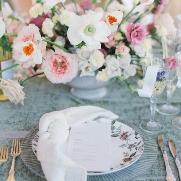 Brigitte Renee Photographer