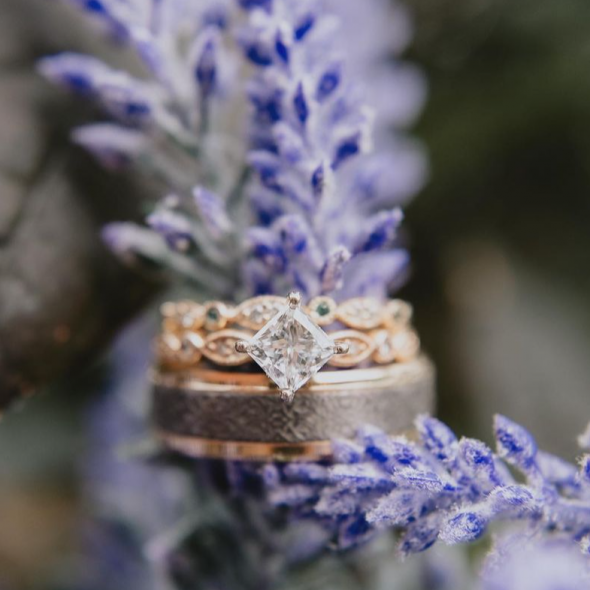 Sol Luna Photographer