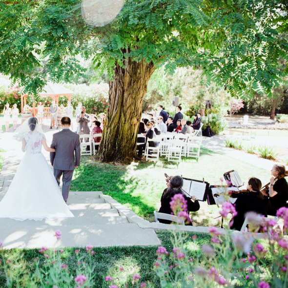 Elliston Vineyards Venues