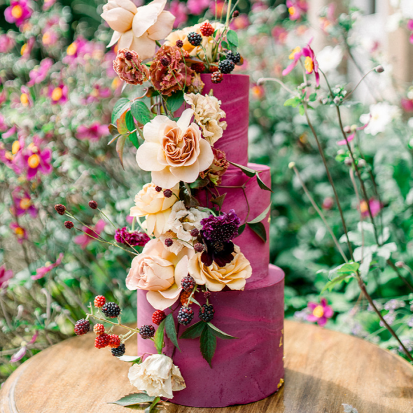 Tiffany Longeway Photographer