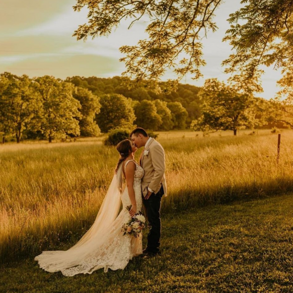 Backyard Captures Photographer Backyard Captures Photographer