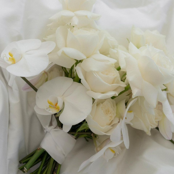 Anastasia Photographer